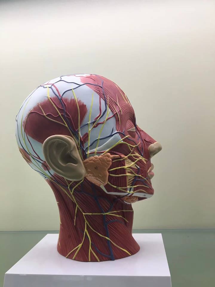 Máy scan 3D giá rẻ - máy scan 3d cầm tay