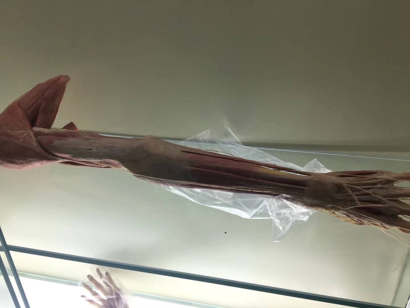 Máy scan 3D giá rẻ - máy scan 3d cầm tay