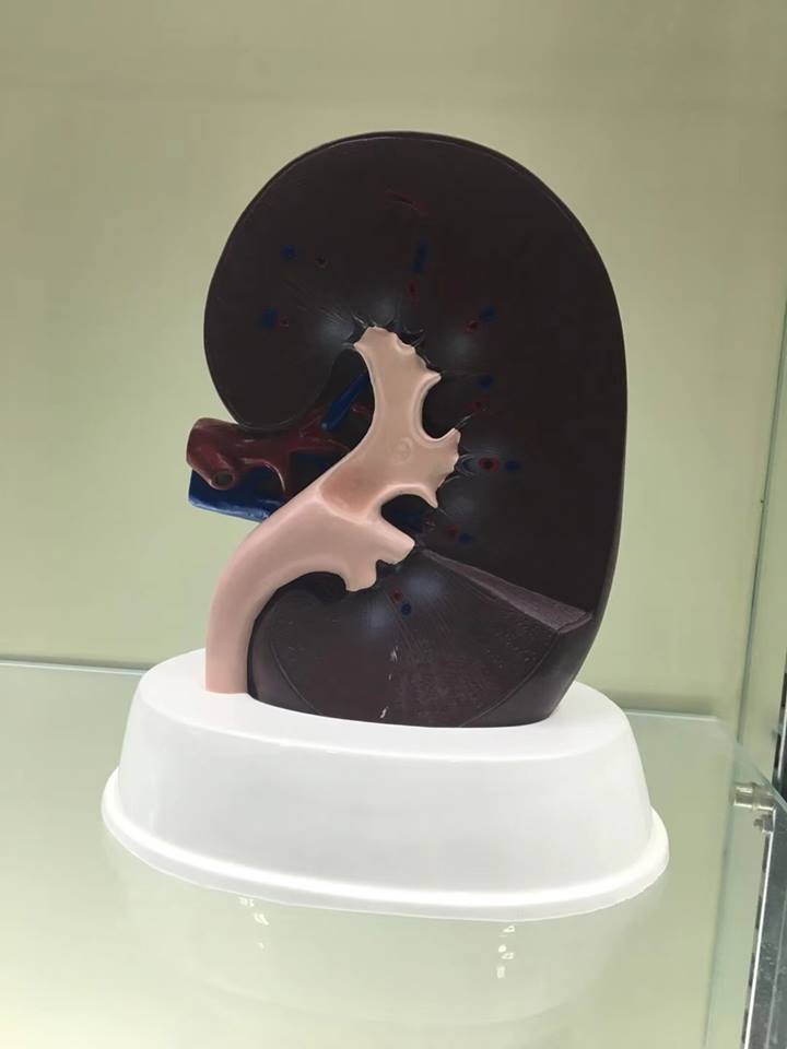 Máy scan 3D giá rẻ - máy scan 3d cầm tay